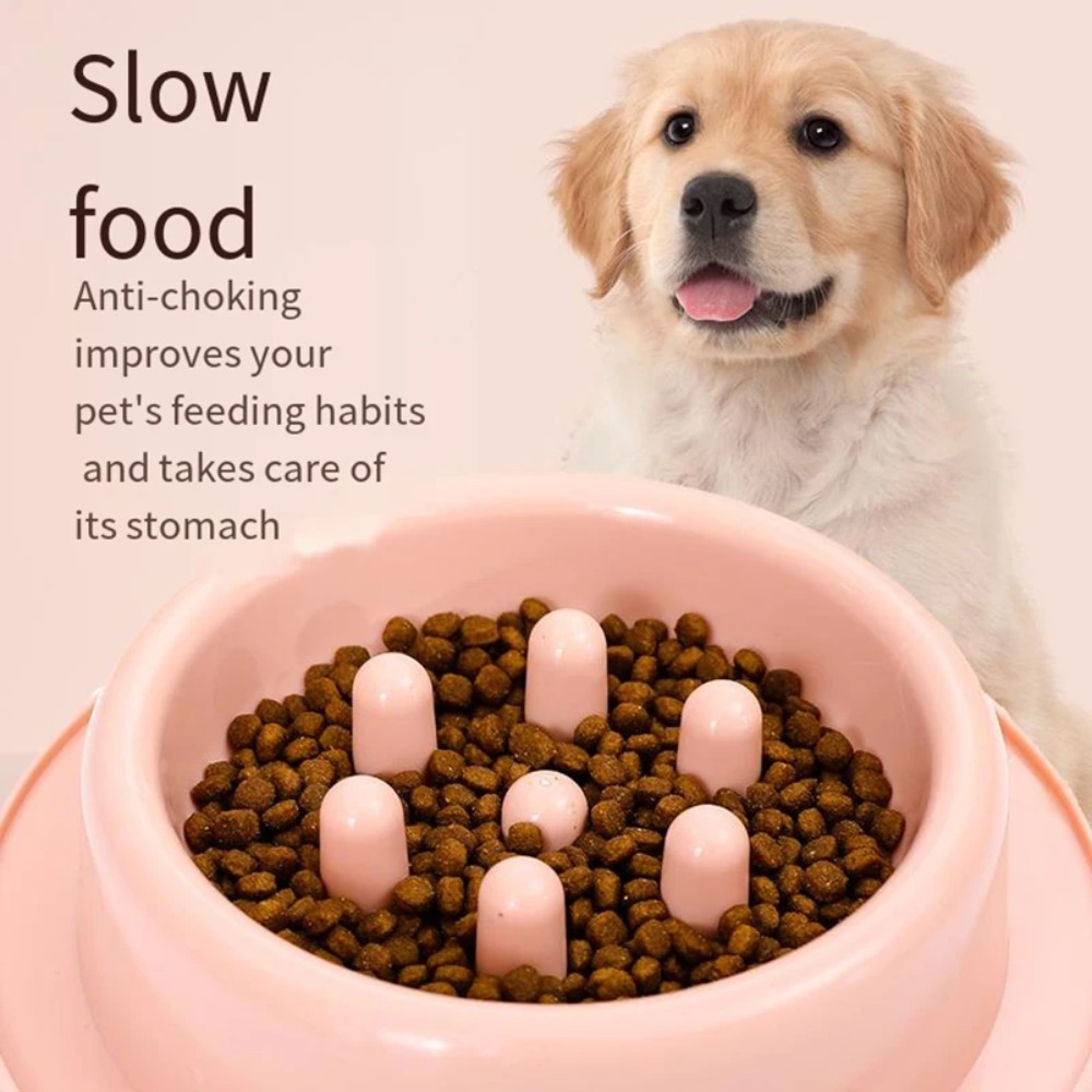 Cuenco de alimentación lenta p - Royal Canin Food Medium reseña y precio